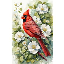 Load image into Gallery viewer, Diamond Painting - Full Round - White flower cardinal (40*60CM)
