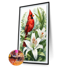 Load image into Gallery viewer, Diamond Painting - Full Round - Lily cardinal (40*60CM)
