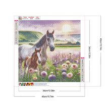 Load image into Gallery viewer, Diamond Painting - Full Round - Horse in a prairie flower field (40*40CM)

