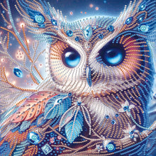Load image into Gallery viewer, Diamond Painting - Partial Special Shaped - Owl (30*30CM)
