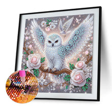 Load image into Gallery viewer, Diamond Painting - Partial Special Shaped - Owl (30*30CM)

