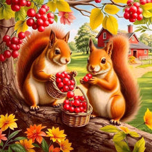 Load image into Gallery viewer, Diamond Painting - Full Round - Autumn squirrel eating berries (40*40CM)
