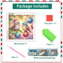Load image into Gallery viewer, Diamond Painting - Partial Special Shaped - Christmas Bird (30*30CM)
