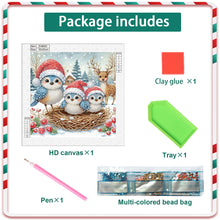Load image into Gallery viewer, Diamond Painting - Partial Special Shaped - Christmas Bird (30*30CM)
