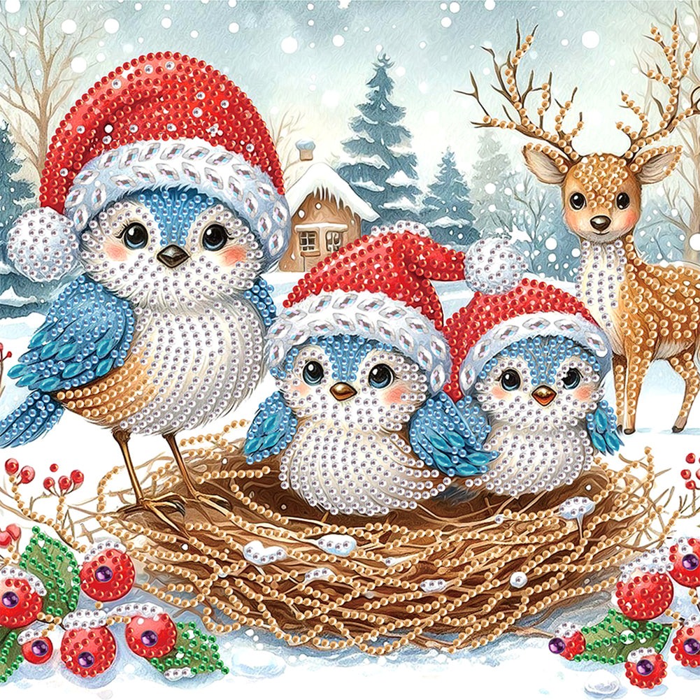 Diamond Painting - Partial Special Shaped - Christmas Bird (30*30CM)