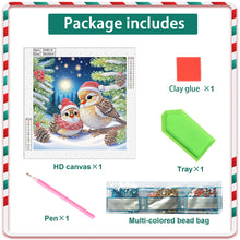 Load image into Gallery viewer, Diamond Painting - Partial Special Shaped - Christmas Bird (30*30CM)
