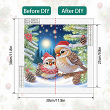 Load image into Gallery viewer, Diamond Painting - Partial Special Shaped - Christmas Bird (30*30CM)
