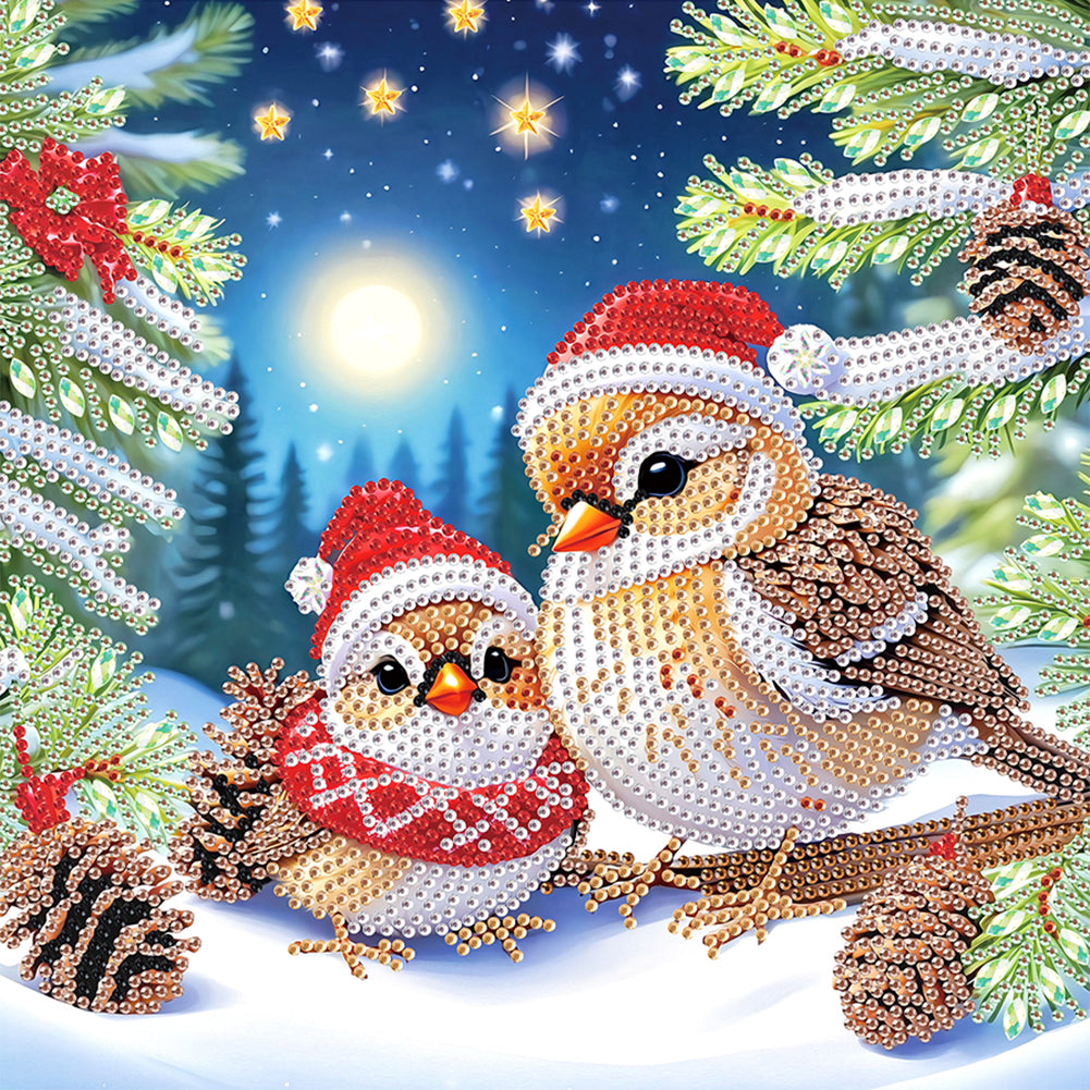 Diamond Painting - Partial Special Shaped - Christmas Bird (30*30CM)