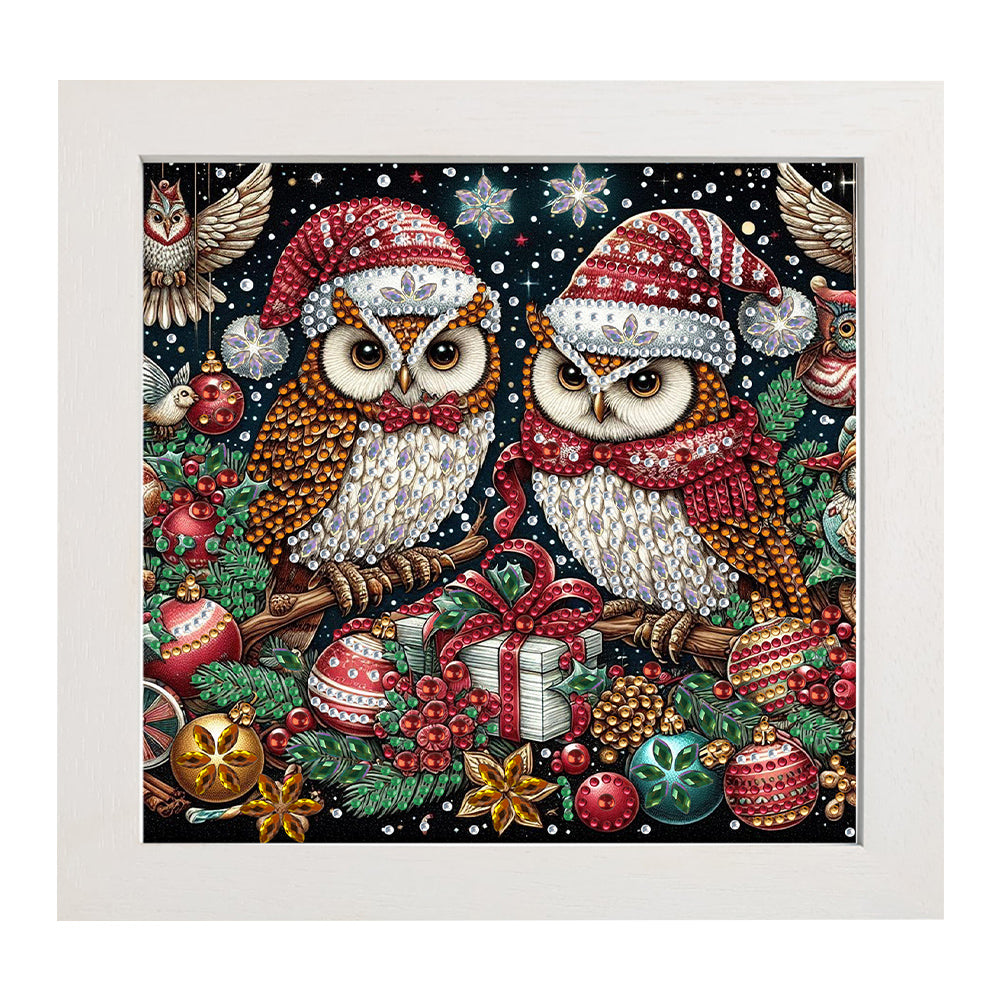 Diamond Painting - Partial Special Shaped - Christmas owl with framed (19.2*19.2CM)