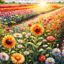Load image into Gallery viewer, Diamond Painting - Full Round - Sunflower and daisy field (30*30CM)

