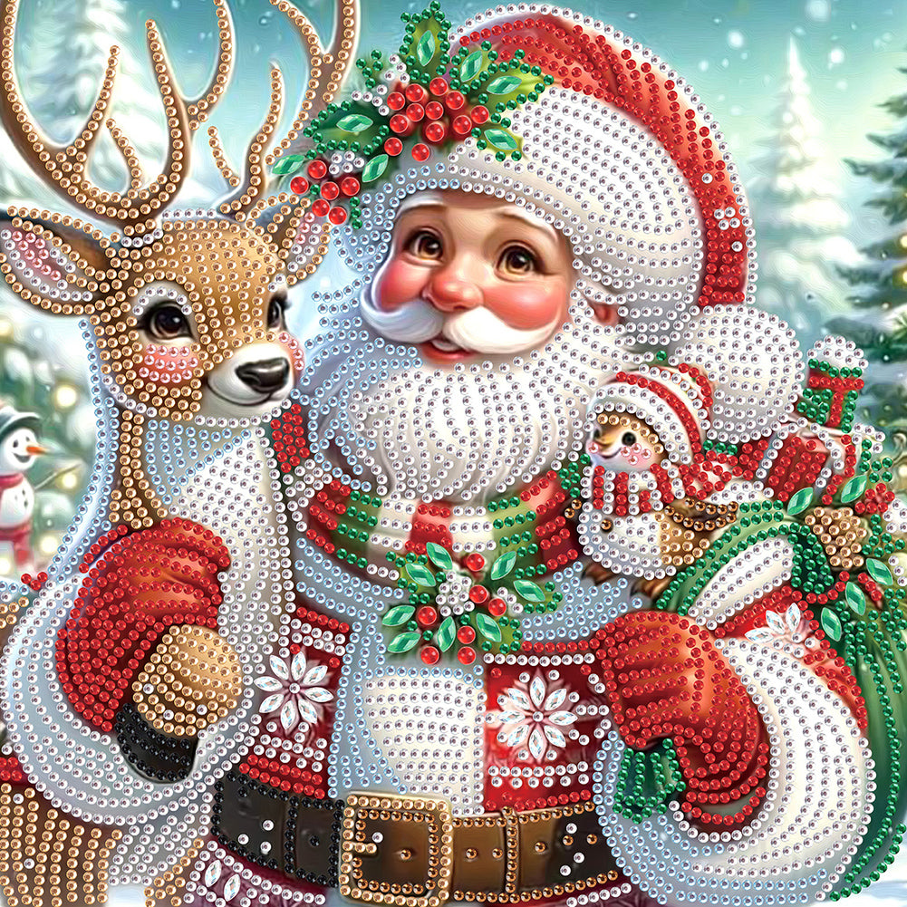 Diamond Painting - Partial Special Shaped - Santa Claus (30*30CM)
