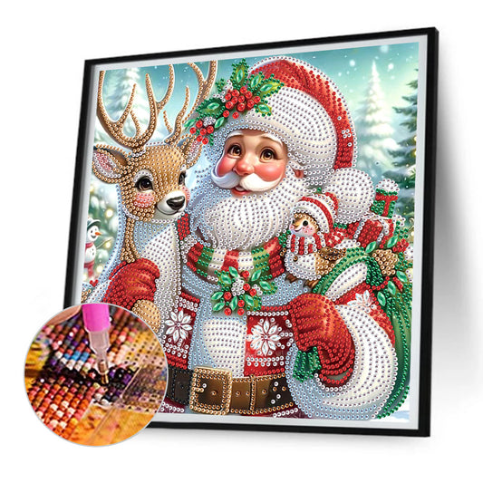 Diamond Painting - Partial Special Shaped - Santa Claus (30*30CM)