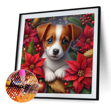 Load image into Gallery viewer, AB Diamond Painting - Full Square - Christmas poinsettia dog (40*40CM)
