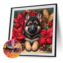 Load image into Gallery viewer, AB Diamond Painting - Full Square - Christmas poinsettia dog (40*40CM)
