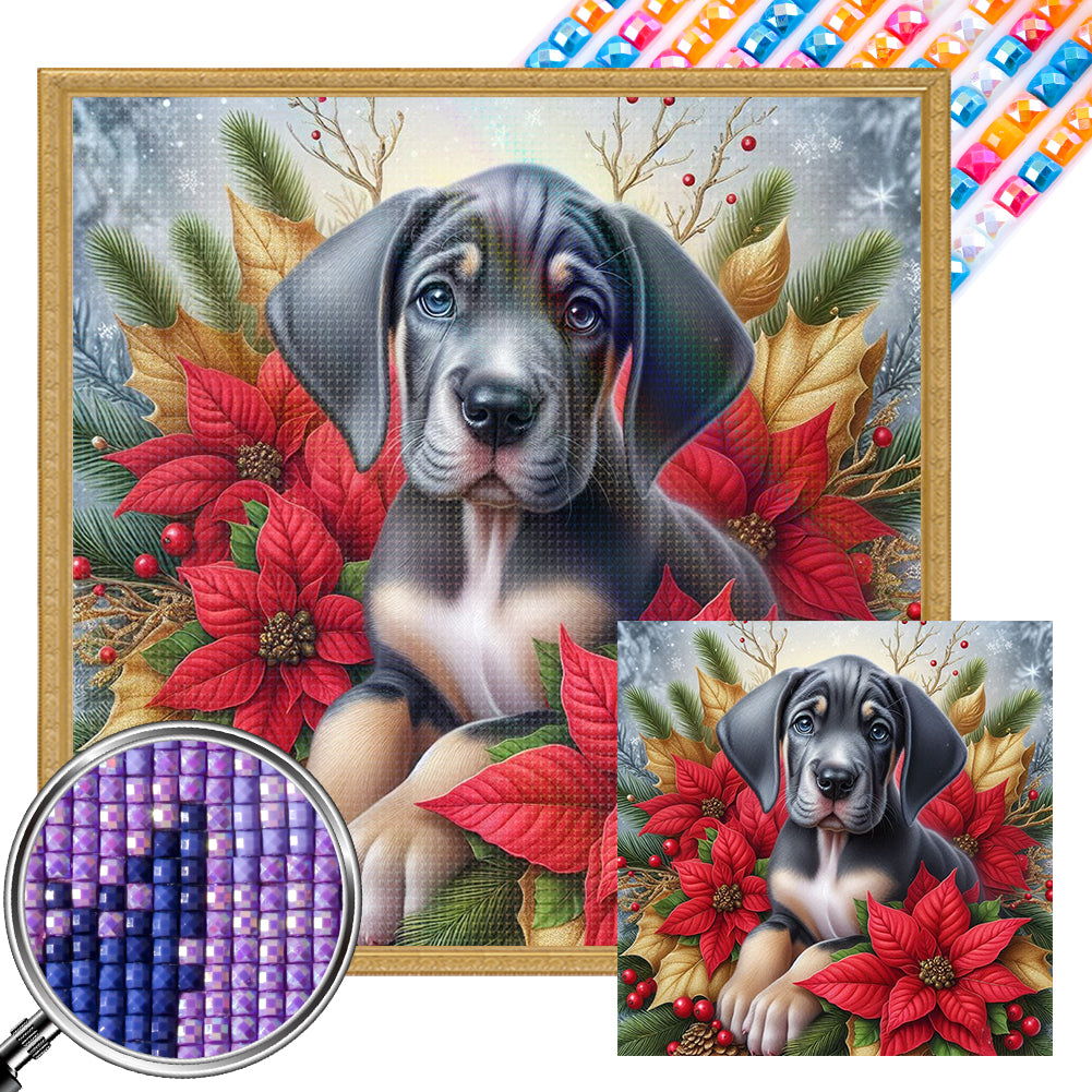 AB Diamond Painting - Full Square - Christmas poinsettia dog (40*40CM)