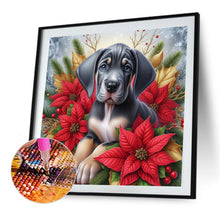 Load image into Gallery viewer, AB Diamond Painting - Full Square - Christmas poinsettia dog (40*40CM)
