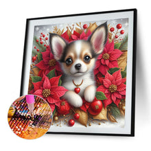 Load image into Gallery viewer, AB Diamond Painting - Full Square - Christmas poinsettia dog (40*40CM)
