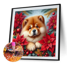 Load image into Gallery viewer, AB Diamond Painting - Full Square - Christmas poinsettia dog (40*40CM)
