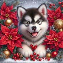 Load image into Gallery viewer, AB Diamond Painting - Full Square - Christmas poinsettia dog (40*40CM)
