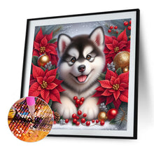 Load image into Gallery viewer, AB Diamond Painting - Full Square - Christmas poinsettia dog (40*40CM)
