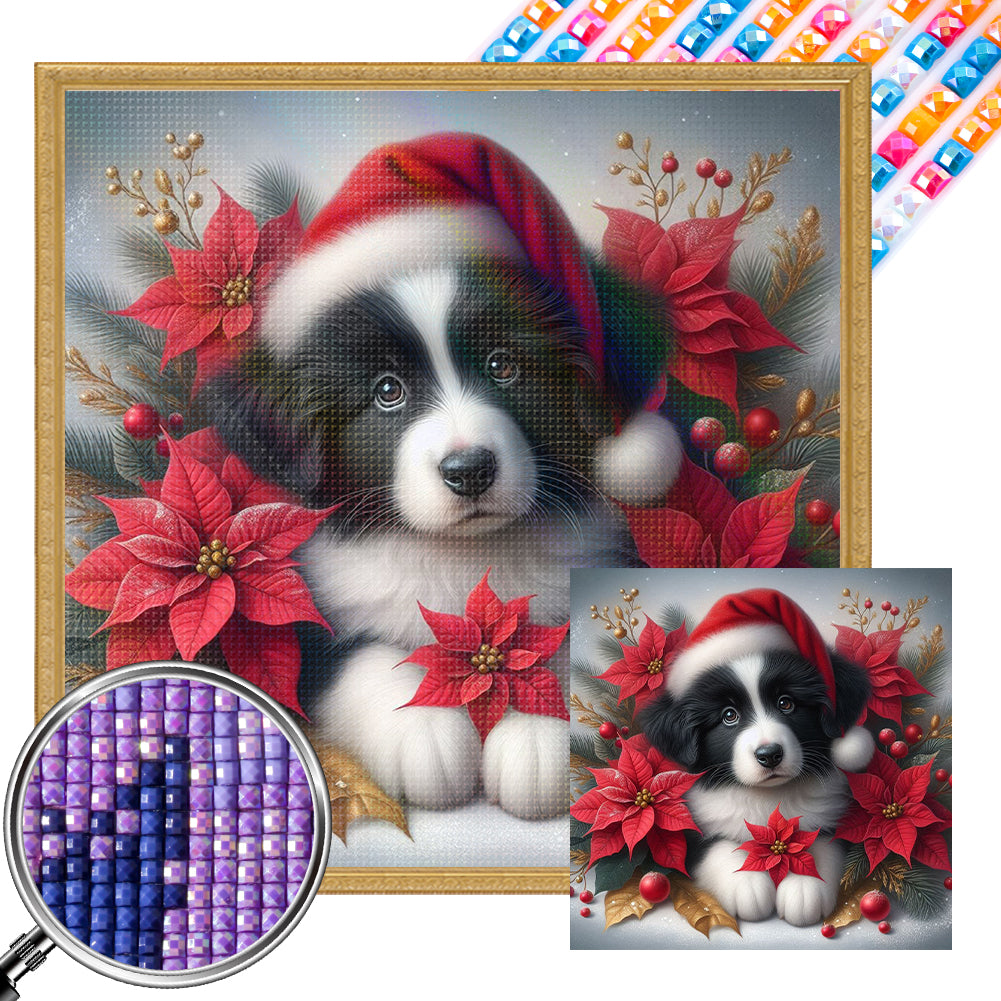 AB Diamond Painting - Full Square - Christmas poinsettia dog (40*40CM)