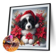 Load image into Gallery viewer, AB Diamond Painting - Full Square - Christmas poinsettia dog (40*40CM)
