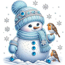 Load image into Gallery viewer, 6Pcs Partial Special Diamond Painting Set - Christmas snowman (30*30CM)
