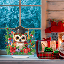 Load image into Gallery viewer, Acrylic Special Shape Christmas Bachelor Owl Desktop Diamond Painting Art Kits
