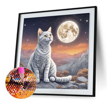 Load image into Gallery viewer, Diamond Painting - Full Round - Cat under the moon (30*30CM)
