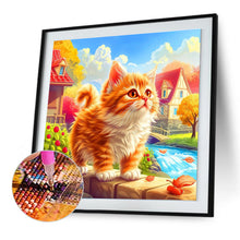Load image into Gallery viewer, Diamond Painting - Full Round - Town cat road orange cat (30*30CM)
