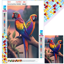 Load image into Gallery viewer, Diamond Painting - Full Square - Parrot on the branch (20*30CM)
