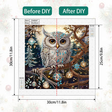Load image into Gallery viewer, Diamond Painting - Partial Special Shaped - Christmas owls (30*30CM)
