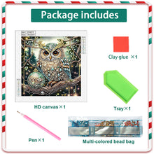 Load image into Gallery viewer, Diamond Painting - Partial Special Shaped - Christmas owls (30*30CM)
