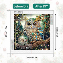 Load image into Gallery viewer, Diamond Painting - Partial Special Shaped - Christmas owls (30*30CM)
