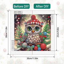 Load image into Gallery viewer, Diamond Painting - Partial Special Shaped - Christmas owls (30*30CM)

