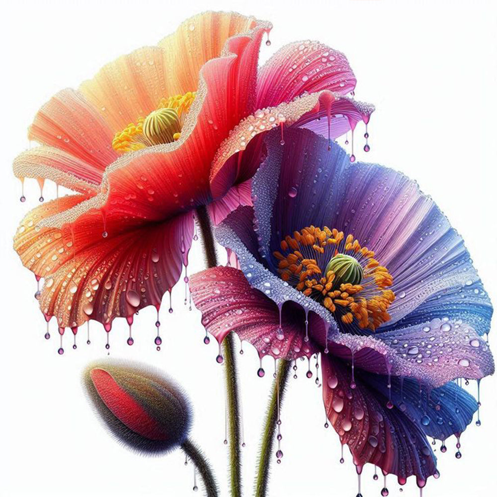 Diamond Painting - Full Round - Poppies (40*40CM)