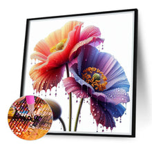 Load image into Gallery viewer, Diamond Painting - Full Round - Poppies (40*40CM)
