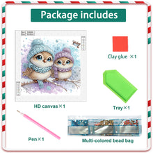 Load image into Gallery viewer, Diamond Painting - Partial Special Shaped - Cute Christmas bird (30*30CM)
