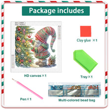Load image into Gallery viewer, Diamond Painting - Partial Special Shaped - Christmas gnomes (30*30CM)
