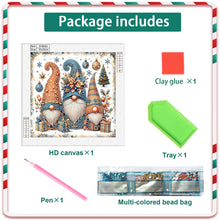 Load image into Gallery viewer, Diamond Painting - Partial Special Shaped - Christmas gnomes (30*30CM)
