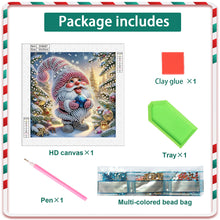 Load image into Gallery viewer, Diamond Painting - Partial Special Shaped - Christmas gnomes (30*30CM)

