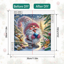 Load image into Gallery viewer, Diamond Painting - Partial Special Shaped - Christmas gnomes (30*30CM)
