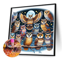 Load image into Gallery viewer, Diamond Painting - Full Round - Multiple owls (40*40CM)
