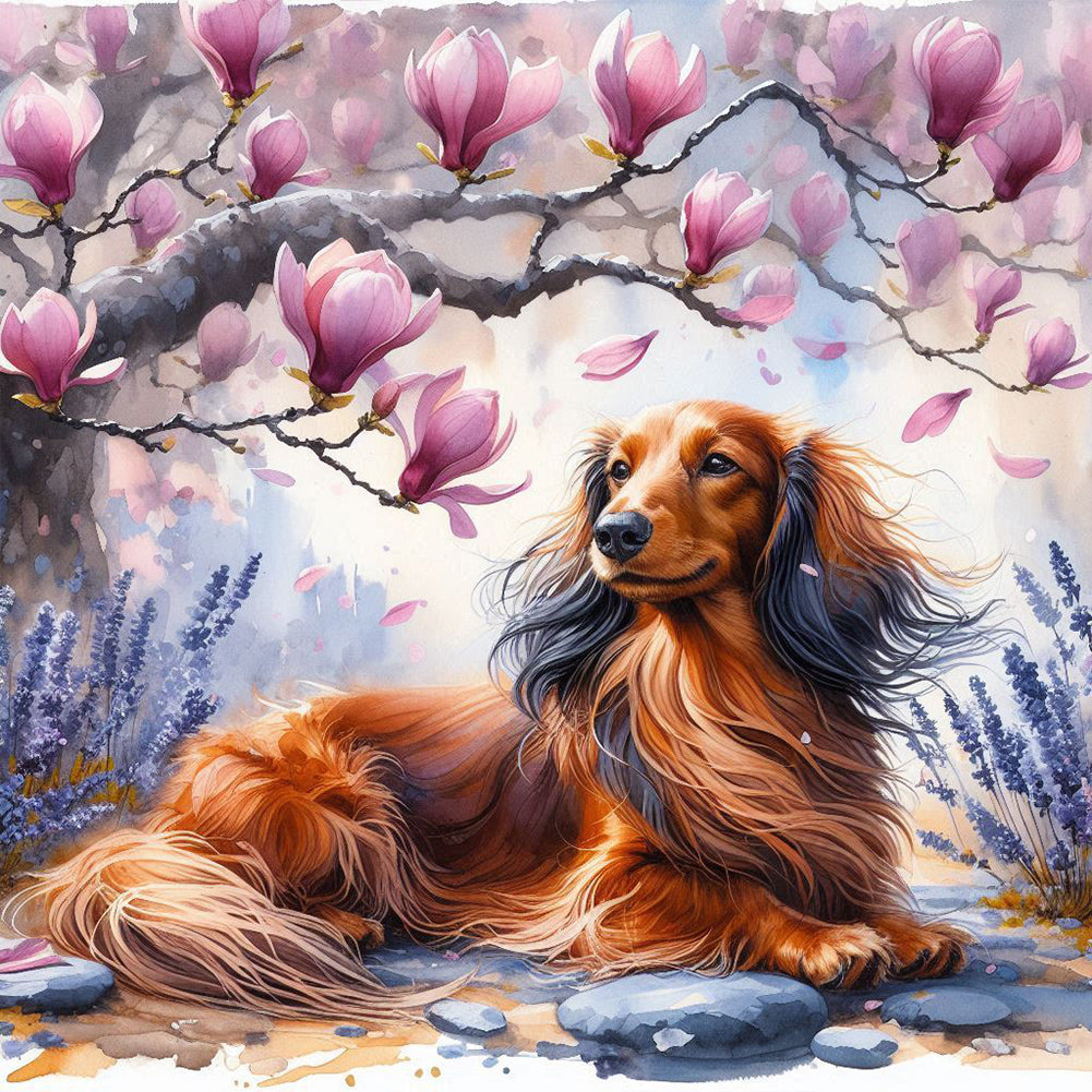 Diamond Painting - Full Round - Magnolia dachshund (40*40CM)