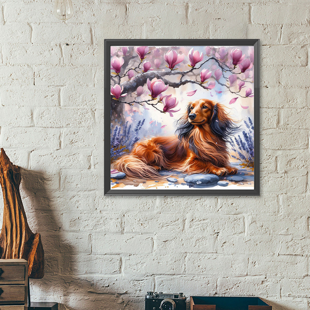 Diamond Painting - Full Round - Magnolia dachshund (40*40CM)