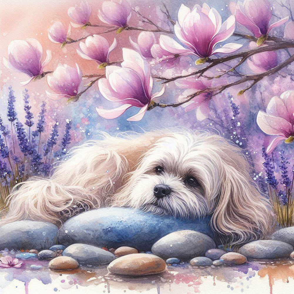 Diamond Painting - Full Round - Magnolia Maltese (40*40CM)