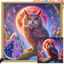 Load image into Gallery viewer, AB Diamond Painting - Full Square - Owl (30*30CM)
