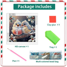 Load image into Gallery viewer, Diamond Painting - Partial Special Shaped - Christmas bird (30*30CM)
