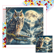 Load image into Gallery viewer, Diamond Painting - Full Square - Owl (40*40CM)
