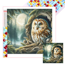 Load image into Gallery viewer, Diamond Painting - Full Square - Owl (40*40CM)
